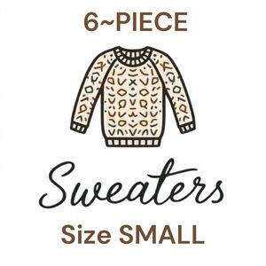 6~Piece Sweater Lot Size SMALL